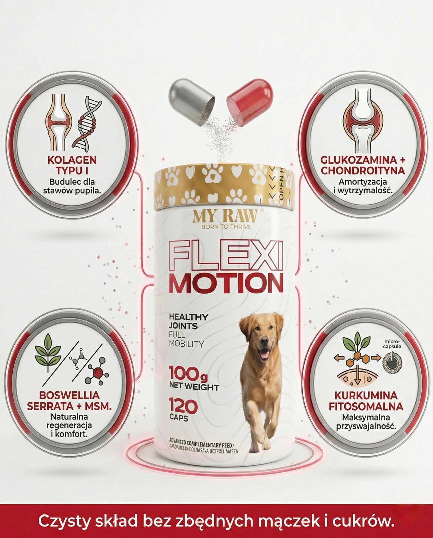 MyRaw Flexi Motion | Wsparcie stawów i mobilności psa (120 kaps.)