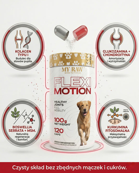 MyRaw Flexi Motion | Wsparcie stawów i mobilności psa (120 kaps.)